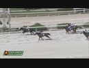 2023年9月14日園田競馬8R 第３０回ＧＪＣ ファイティングジョッキー賞(C2) メロパール