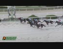 2023年9月14日園田競馬11R 第３０回ＧＪＣ チャンピオンジョッキー賞(B1・B2) エイシングラス