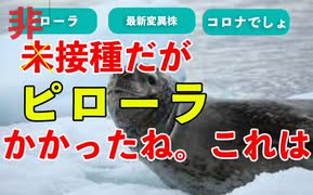 未接種ですが、かかったのはどうもコロナ最新変異株ピローラのようだ。未接種の方が症状が激しいらしいが、今後も打たないよ