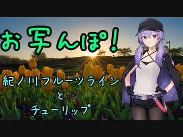 お写んぽ！ 近畿00 紀ノ川フルーツラインとチューリップ【V-STROM1050XT】