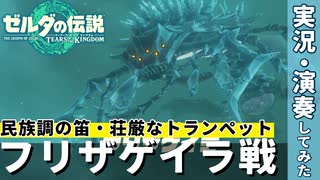 14「フリザゲイラ戦」神BGMと共にリトを救え！｜演奏家が往く！『ゼルダの伝説　ティアーズ オブ ザ キングダム』