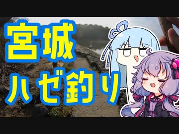 宮城でもハゼ釣るおじさんを実況する結月ゆかりwith葵【VOICEROIDフィッシング】