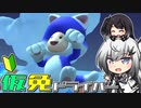 仮免ドライバーアリアルさん #166【マリオカートツアー】