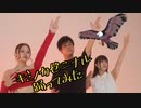 【初踊ってみた】キミノカゼニナルを踊ってみた【#コンパス】