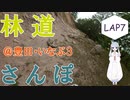 【COEIROINK車載】林道さんぽ＆キャンプ＠いなぶダート林道3/3【セロー】