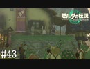 【ゼルダの伝説 Tears of the Kingdom】やっと村長選がはじまるそうです【実況】#43