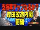 ニコニコ46     支持率アップなるか？岸田内閣改造・前編