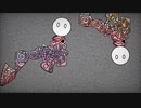 あなた嫌 / v flower