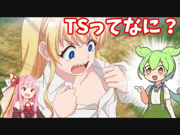 TSってなに？性転換についてずんだもんが解説【VOICEVOX解説】