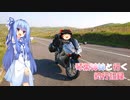 琴葉姉妹と行く釣行記録（車載編part27 3/7）