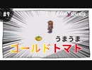 【実況】レディストーカー：懐かしみながら実況プレイ　part9
