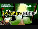 失ったポケモンは二度と戻らない。【ポケモンエメラルド】#4