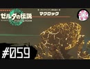 【ティアキン＃59】凡人が行く龍泪旅