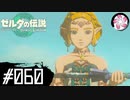【ティアキン＃60】凡人が行く龍泪旅