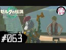 【ティアキン＃63】凡人が行く龍泪旅
