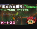 [Terraria]　『Ｅｃｈｏ縛り』パート２３　[ゆっくり実況]