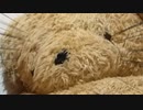 【あかりちゃんと】購入した幼女が届いた【ソフトウェアトーク劇場】