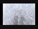 期待しないで / feat.初音ミク & fukase
