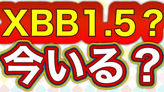 9/20からのワクチンはXBB1.5対応，流行っているのは・・・！？