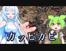 地面にへばりついてるカピカピを食べてみよう