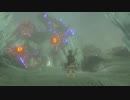 ゼルダの伝説　ブレス オブ ザ ワイルド　実況プレイPart37