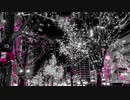 日本の夜景風景 #長山知由理