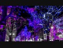 日本の夜景風景 #長山知由理