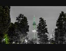 日本の夜景風景 #長山知由理