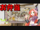 【VOICEVOX 波音リツ】  秋本番!!  サツマイモ御飯を使った「お弁当」を作ります!!