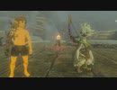 【ゆっくり実況】ゼルダの伝説 ティアーズオブザキングダム　剣帯禁止プレイ7