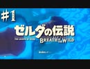 100年の眠りから目覚める凡人。【ゼルダの伝説 ブレス オブ ザ ワイルド〈マスターモード〉】#1（2023/01/16アーカイブ）