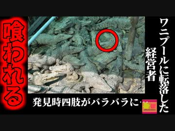 【2023年】ワニ養殖プールに経営者男性が転落 40匹以上のワニに食われる 【ゆっくり解説】