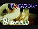 【DREADOUT2】謎スマホ片手にボコボコにしていくインドネシアンホラーを実況１２