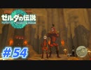【実況】果てなき冒険は、大空へ広がる【ゼルダの伝説 ティアーズオブザキングダム】＃54