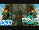 【実況】果てなき冒険は、大空へ広がる【ゼルダの伝説 ティアーズオブザキングダム】＃55