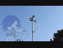 広報【ユーザーモデル応援祭2023秋】