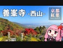 京都紅葉ちょこっとガイド「善峯寺-西山-」