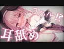 【耳舐めASMR】コハルが布団に入ってきて耳舐めで寝かしつけようと必死【ブルアカ/コハル/同人】