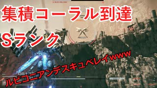 【AC6】集積コーラル到達【Sランク】