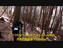 (現状報告的な見廻り回ｗ)変態忍者の、有害鳥獣駆除従事活動記・その２５３