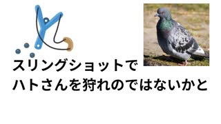 スリングショットで鳩さん狩れたかも