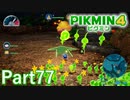 夜の探索 最終回！！【PIKMIN4実況part77】