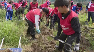 豪雨で被災のぶどう園で高校生らが土砂の撤去作業