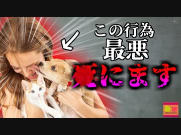 【2016年】愛猫に噛まれた男性 動脈が爆発し亡くなる 体重が10kg以上減少するなどの異変があったが…ペットに潜む危険『パスツレラ・ムルトシダ』【ゆっくり解説】