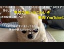 【ニンポー】前枠のはzさんの悪口じゃなく一般的な悪口の羅列をしただけです　その１【ニコ生】