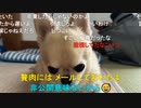 ニンポー（千代豊和） 前枠のはzさんの悪口じゃなく一般的な悪口の羅列をしただけです