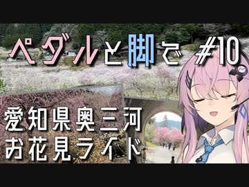 【自転車車載】ペダルと脚で #10 - 愛知県奥三河お花見ライド