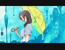 雨の行先 / 初音ミク【slant】