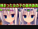 【ラズベリーキューブ(エロゲ)】#32　おっぱいを揉んでしまったら立場が逆転した【セックスへの道】