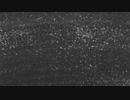 「Anxious night 」/ IA